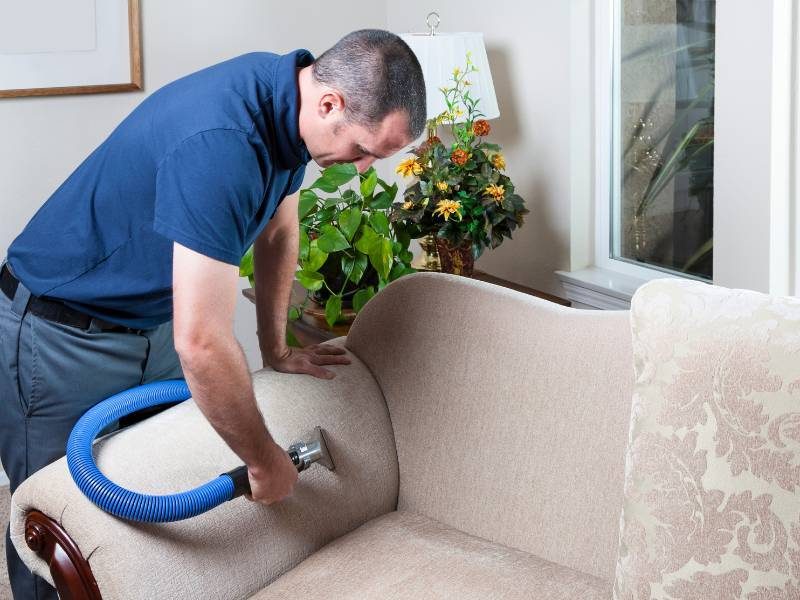 La cura del divano: come smacchiare ogni tipo di materiale e superficie 